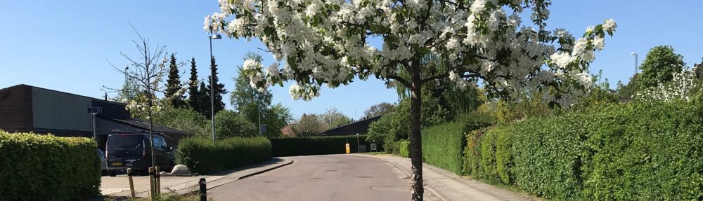 Grundejerforeningen Plantagen Stensballe